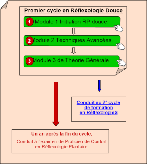 techniques de réflexologie plantaire